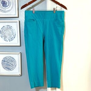 Soft Surroundings Women’s Petite Size PS Superla Stretch Pull On Teal Pants